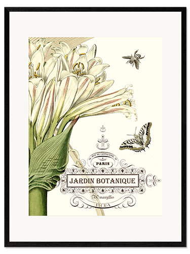Gerahmter Kunstdruck Botanischer Garten II