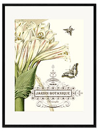 Gerahmter Kunstdruck Botanischer Garten II