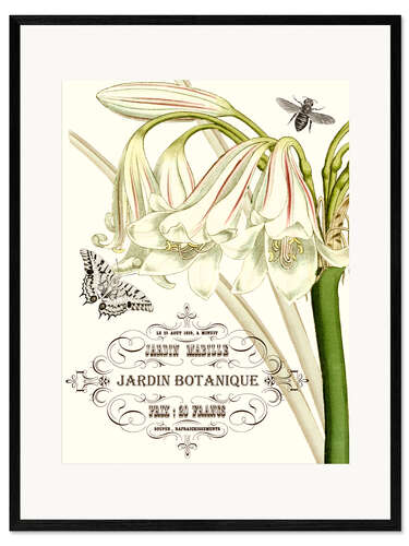 Kunsttryk i ramme Botanical Garden I