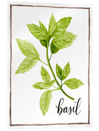 Akrylglastavla  Herbal illustration Basil - Grace Popp