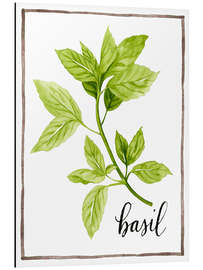 Aluminium print Herbal illustration Basil