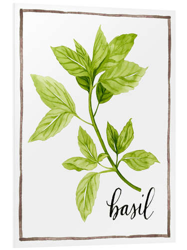 Foam board print Herbal illustration Basil