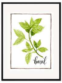 Gerahmter Kunstdruck Kräuterillustration Basilikum