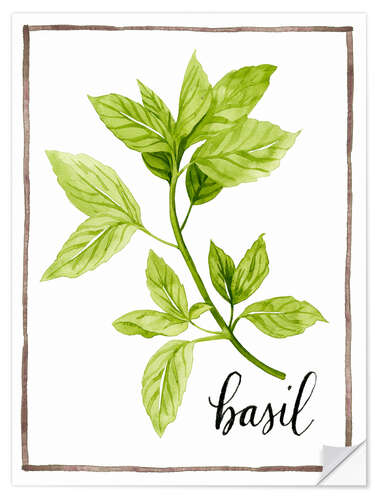 Wall sticker Herbal illustration Basil