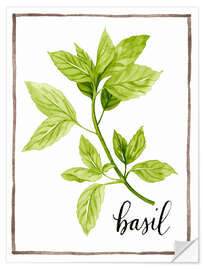 Selvklebende plakat Herbal illustration Basil