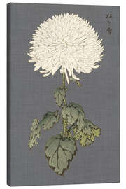 Canvas print White chrysanthemum II