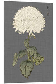 Foam board print White chrysanthemum II