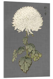 Gallery print White chrysanthemum II