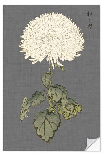 Wall sticker White chrysanthemum II