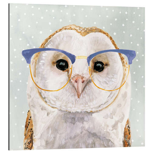 Aluminiumsbilde Owl with glasses