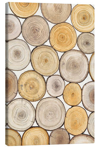 Canvastavla Tree ring study II