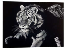 Magnettafel Porträt eines Tigers