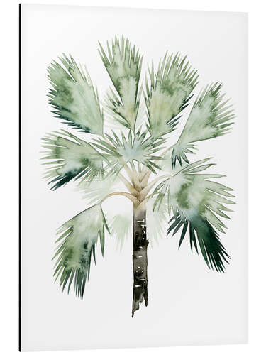 Aluminium print Tropical palm