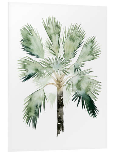 Foam board print Tropical palm