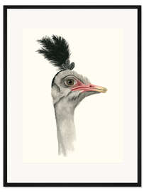 Gerahmter Kunstdruck Downton Vogelstrauß