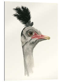 Gallery print Downton Ostrich