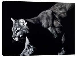 Canvas print Prowler