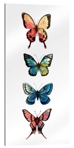 Gallery print Butterfly study I