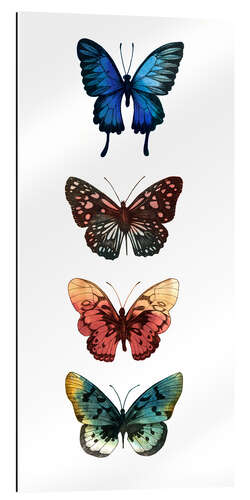 Gallery print Butterfly Study II