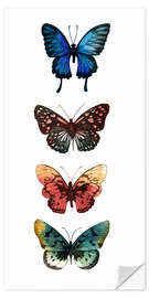 Wall sticker Butterfly Study II