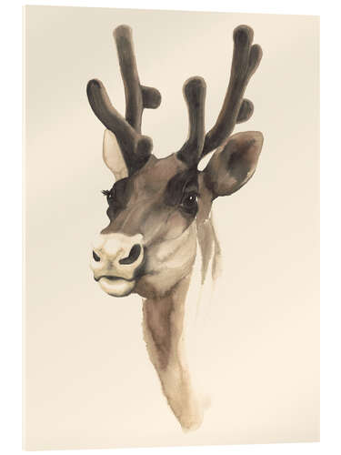 Acrylic print Reindeer study