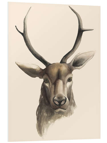 Foam board print Deer study