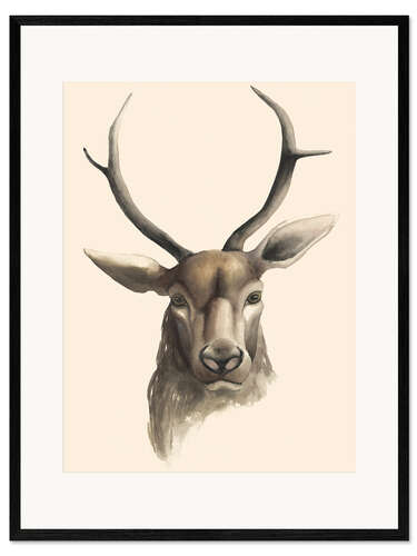 Framed art print Deer study