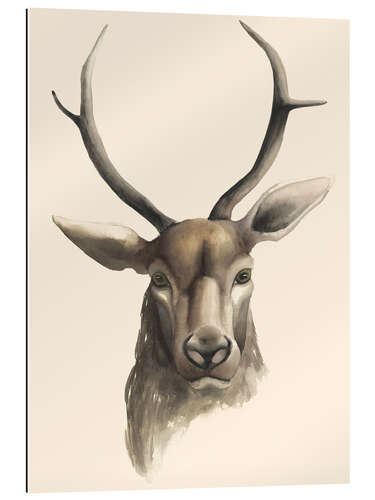 Gallery print Deer study