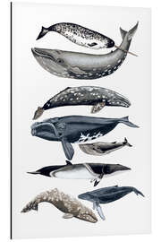 Magnettafel Walarten II