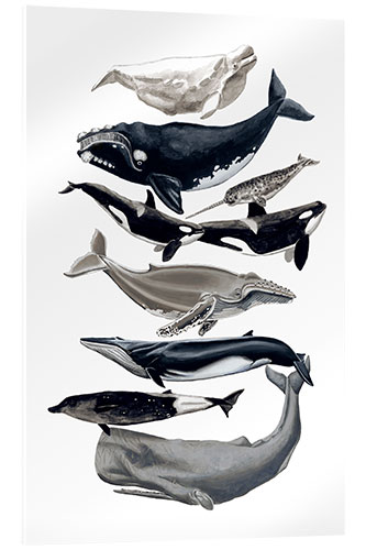 Akrylbilde Whale species I