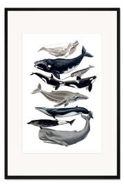 Gerahmter Kunstdruck Walarten I