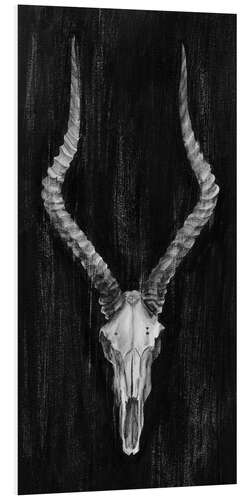 PVC print Impala Skull