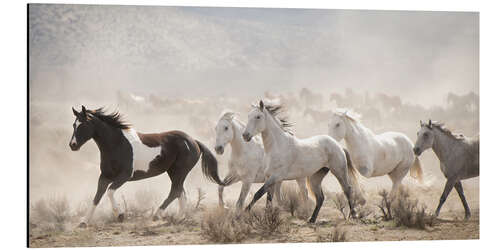 Aluminiumsbilde Open Range