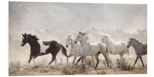 Foam board print Open Range