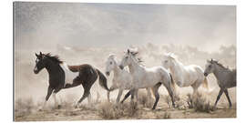 Gallery print Open Range