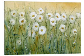 Obraz na aluminium Daisies in spring II - Tim O'Toole