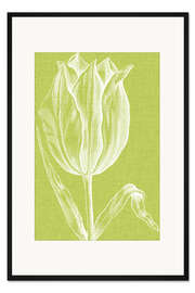 Gerahmter Kunstdruck Chromatische Tulpen VI