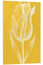 Foam board print Chromatic Tulips IV