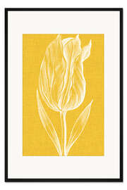 Gerahmter Kunstdruck Chromatische Tulpen IV