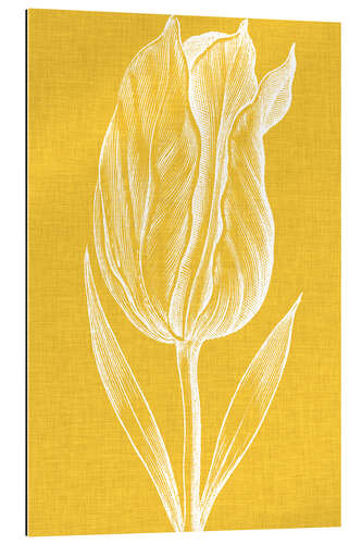 Gallery print Chromatic Tulips IV