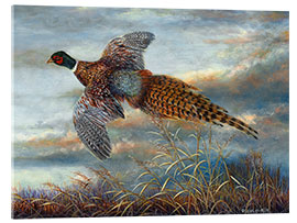 Akrylbilde Pheasant in flight