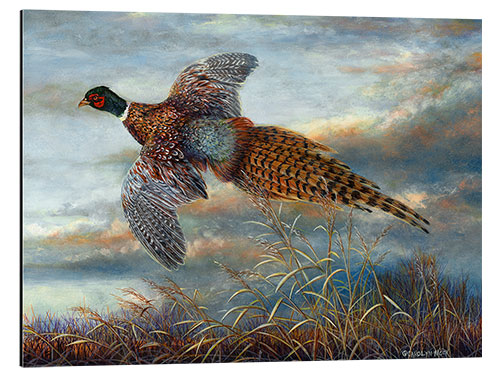 Alumiinitaulu Pheasant in flight