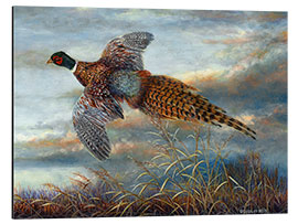 Aluminium print Pheasant in flight