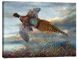 Canvas print Pheasant in flight