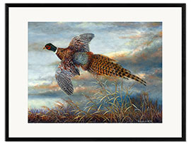 Ingelijste kunstdruk Pheasant in flight