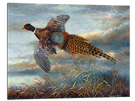 Galleriprint Pheasant in flight