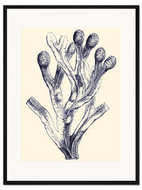 Gerahmter Kunstdruck Indigo-Alge II