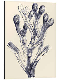 Magnettafel Indigo-Alge II