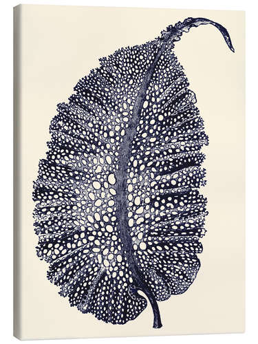 Canvas print Indigo Kelp IV