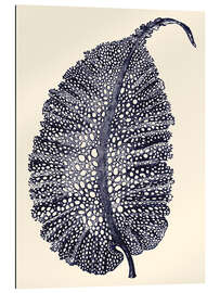 Gallery print Indigo Kelp IV